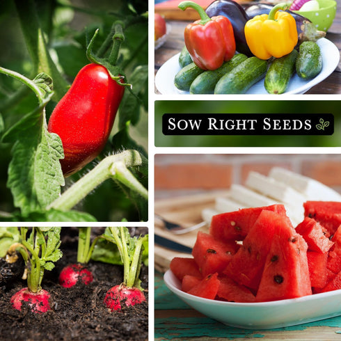 Sow Right Seeds - Classic Vegetable Garden Seed Collection for Planting - Non-GMO Heirloom Broccoli, Cabbage, Carrot