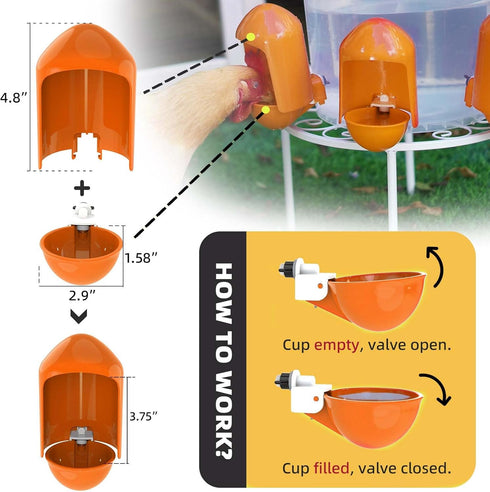 LEWINHOOK (5 Pack), 2.9 Chicken Waterer Cups Automatic Large Poultry Waterer Cups with Anti-Dirt Cover, Suitable