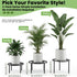 2-Pack Use(10.24" TOSKING Plant Stands - Heavy Duty Low Plant Stand, No Assembly Required Risers for Potted Plants