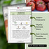 (1) Sow Right Seeds - Brandywine Black Tomato Seeds for Planting - Slicer Beefsteak with Dark Purple Color - Non-GMO