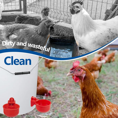 5 12 Pack Chicken Automatic Waterer Kit for Poultry Float Style Gravity Water Feeder Drinking Cup Bowl Gallon
