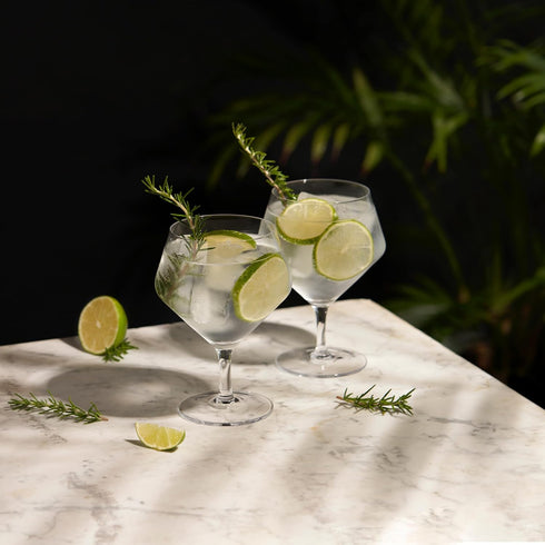 Viski Raye Angled Stemmed Gin and Tonic Glasses, Set of 2, Premium Crystal Clear Cocktail Gin Glasses for Gin Lovers