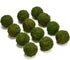 BYHER Handmade Natural Green Moss Decorative Ball, Set of 12 (2")