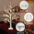EAMBRITE Lighted Birch Tree Spring Decorations for Home, Christmas Indoor Decorations, 2 Pack 24 LED Battery