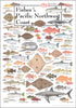 Earth Sky + Water Poster - Fishes of the Pacific Northwest Coast