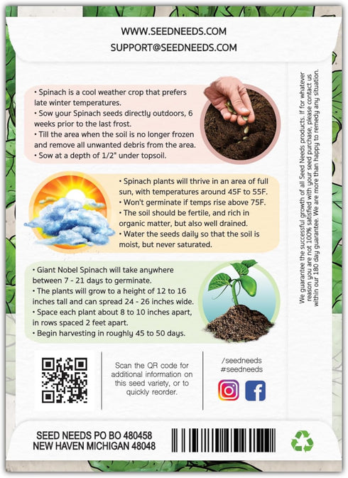 250 (1 Pack) Seed Needs, Giant Noble Spinach Seeds - Heirloom Seeds for Planting Spinacia oleracea - Make Your Own
