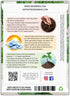 250 (1 Pack) Seed Needs, Giant Noble Spinach Seeds - Heirloom Seeds for Planting Spinacia oleracea - Make Your Own