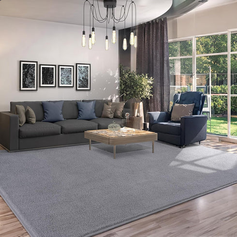 AROGAN Modern Shag Area Rug for Bedroom, 4x6 Feet Washable Plush Memory Foam Carpet for Kids Room Grey