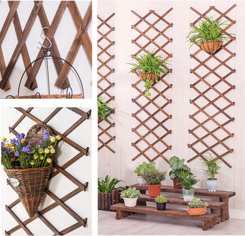 Wooden Lattice Wall-Expandable Plant Garden Trellis for Climbing Plants Outdoor Air Plant Vertical Rack Wall Decor