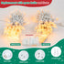 Set,50 Count 13Feet Bulb HEYFUNi Clear Christmas Lights Incandescent Mini String Lights for Christmas Tree Holiday