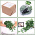 Whonline Fake Hanging Plants, Artificial Small Potted Plants for Indoor Outdoor Aesthetic Decor - 1 Pack