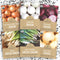 Organic Onion Seeds Variety Pack - 6 Individual Packs - 2026 Season