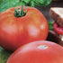 19.3 oz., 4-Pack, Bonnie Plants Park's Whopper Improved Tomato, Live Plants