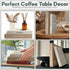 Set (Set 2) Faux Book Storage Box Decorative Faux Books with Hidden Storage for Coffee Table Decor, Bookshelf or Mantle