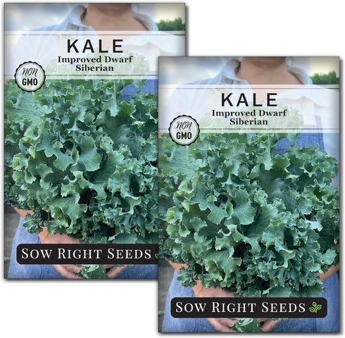 Sow Right Seeds - Dwarf Siberian Improved Kale Seed for Planting -