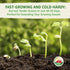 2 500+ TKE Farms & Gardens - Lacinato Kale Seeds for Planting, Grams, Heirloom Non-GMO Seeds - Dinosaur Kale, Tuscan