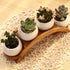 Set, Pack 4, E-liu Succulent Pots and Stand Ceramic White Succulent Planter Pot with Drainage, of Cute Office Garden