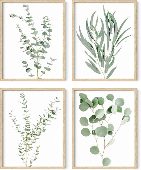 HAUS AND HUES Set of 4 Botanical Plant Wall Art Prints - Floral Kitchen Decor, Eucalyptus Leaves (11x14, UNFRAMED)