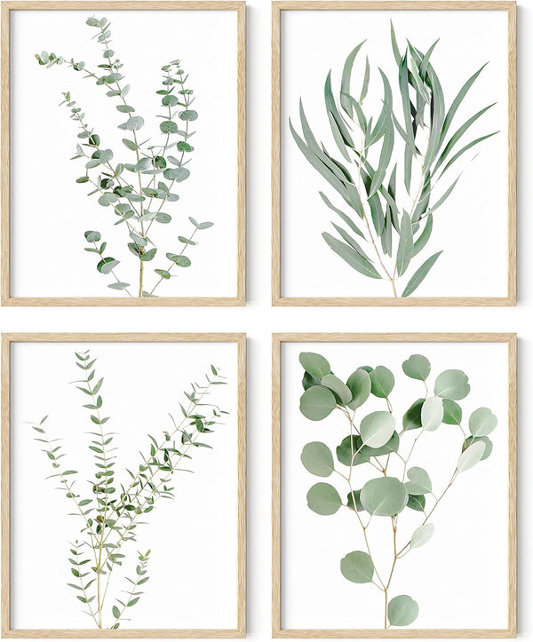 HAUS AND HUES Set of 4 Botanical Plant Wall Art Prints - Floral Kitchen Decor, Eucalyptus Leaves (11x14, UNFRAMED)