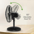HOLMES 12" Table Fan with 75° Oscillation, 3 Speeds, 15° Adjustable Head Tilt, Ideal for Home, Bedroom, Office, Black