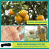 1 (50FT*50FT) Heavy Duty Bird Poultry Netting - Mesh Breathable UV-Resistant Mesh for Garden Chicken Coop Blueberry