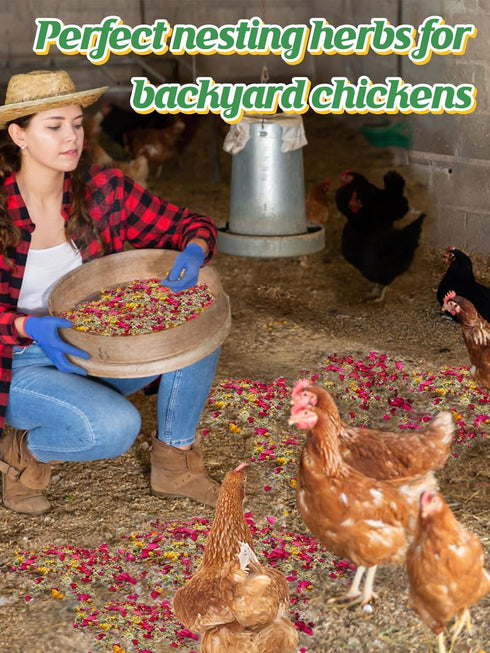 20 Oz 6 Nesting Herbs for Chicken Coop - Natural Egg-Laying Box Feed Herb in Dried Flowers for Freshening Bedding