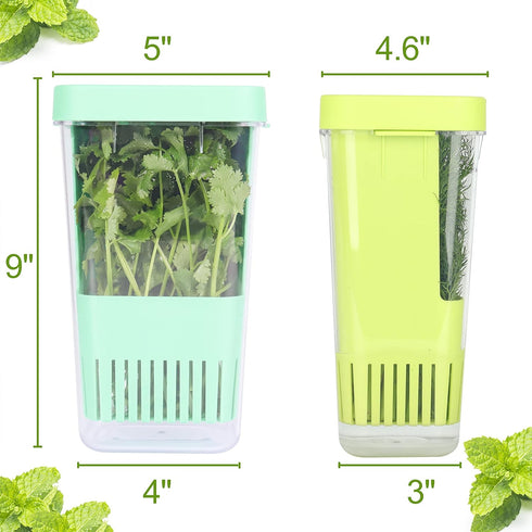 2 Pack 3 Fresh Herb Keeper for Refrigerator, Clear BPA-Free Herb Saver, Storage Container for Cilantro, Parsley, Thyme