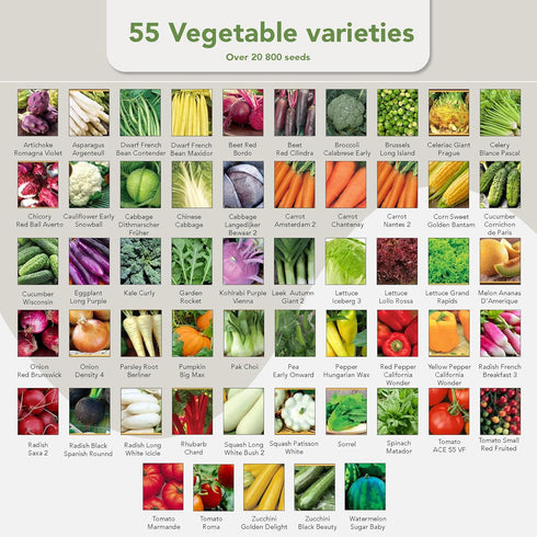 Pack 75 30,000 Garden Grow Your Own Kit - Varieties of Herb, Flower and Vegetable Seeds - Gardening Gifts for Men