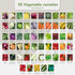 Pack 75 30,000 Garden Grow Your Own Kit - Varieties of Herb, Flower and Vegetable Seeds - Gardening Gifts for Men