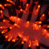 66 200 Count Pack 2 Sets 33 100 Set YULETIME Orange String Lights with Black Wire, ft UL Certified Christmas Light