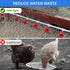 Set 304 Complete Pipeline Automatic Chicken Waterer System with PVC Pipeline and Stainless Steel Hose, Chicken Water