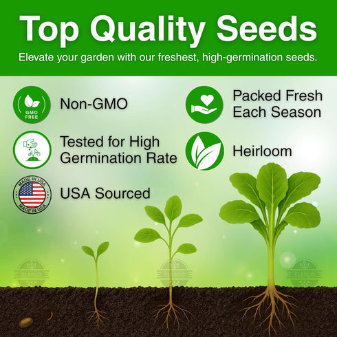 The Lucky Stars 1500+ Packed 2026 Florida Broadleaf Mustard Seeds for Planting, for Non-GMO Seeds Fast Growing, Heat