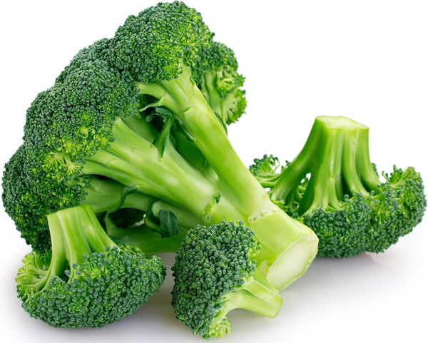 250 Broccoli Seeds for Planting Waltham 29 - Heirloom Non-GMO USA Grown