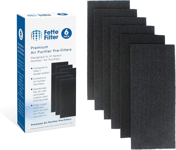 Fette Filter - 6 Pack Replacement Carbon Pre/Post Filters for Holmes Air Purifiers, Compatible with Part AOR31 Filter