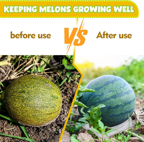 50 20 lbs Irenare Pcs Melon Cradle Plastic Melon Cradles Watermelon Holder for Garden Watermelon Support Stand Plant