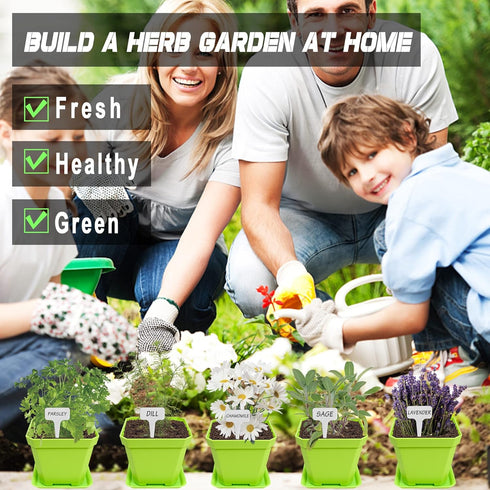 10 Set Meekear Herb Seeds Garden Starter Grow Kit with Green Pots, Markers, Soil Discs, Watering, Herb Clipper