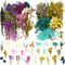 Vignee Real Dried Pressed Leaf Flowers, Colorful Daisies for Craft Resin Jewelry Making Art Craft DIY (Blue & Purple)