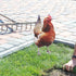 2Pcs Happyyami Acrylic Chicken Yard Art - Decorative Hen Lawn Stakes for Garden Decoration, Outdoor Decor for Patio