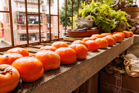 Persimmon 10+ Count 2026 TomorrowSeeds - Japanese Tree Seeds - - for Planting Diospyros Kaki Fuyu Hachiya Asian Chinese