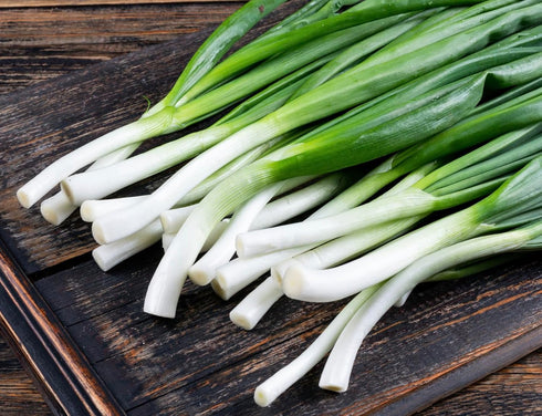Tokyo Long White Bunching Green Onion Hydroponic Growing Kit Grow Japanese Bunching Onions Non-GMO Heirloom Seeds
