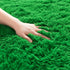 3x5 AROGAN Luxury Soft Shaggy Carpet, Feet Green Fluffy Bedroom Rug for Living Room, Kids Girls Playroom Teen Room