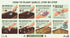 Bulbs, (5) Garlic Seed Large Cloves, Cold Hardy, Bold Flavor