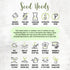 (1 Pack) Seed Needs Sage Seeds for Planting Broad Leaved Herbs - Non-GMO Heirloom & Untreated Culinary Herb Seed
