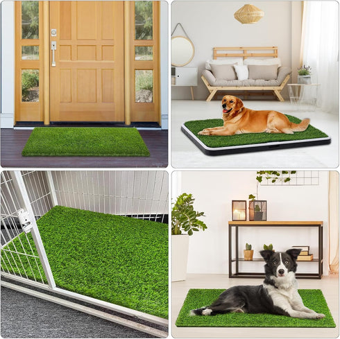 CooZero (39.4 19.7 inch) Artificial Grass, Professional Dog Grass Mat, Potty Training Rug and Replacement Turf Outdoor
