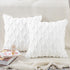 MADIZZ Set of 2 Soft Plush Short Wool Velvet Decorative Throw Pillow Covers 22x22 inch, White