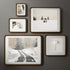 5x7 5 7 4x6 Picture Frame, USA-Sourced Natural Walnut Wood Photo Frame with Tempered Glass, Handcrafted Rounded Corner