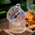 Gezzeny 14 Oz Set 2 Vintage Glass Coffee Mugs of Iridescent Embossed, Tea Cups,Glass Coffee Cups for Cappuccino