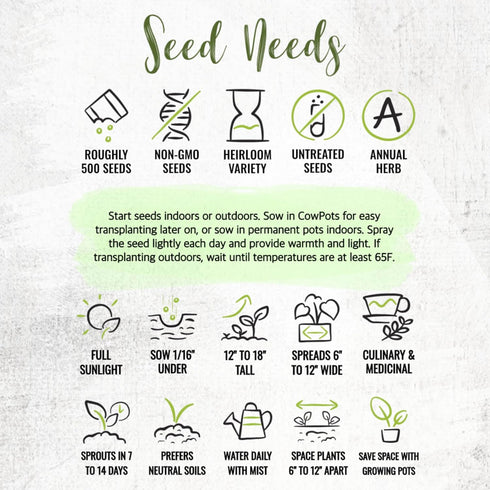 Summer (1 Pack) Seed Needs Savory Seeds for Planting Herbs - Non-GMO Heirloom & Untreated Annual Herb Seed to Plant a