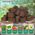 (50 Amyhill Hydroponic Sponges Grow Starter Pods Organic Growth Sponge Starter Plugs for Plant Cloning Growing Pcs)