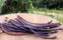 5 30+ Count 2026 TomorrowSeeds - Colors Mix Yard Long Bean Seeds - - for Planting Purple Green Red Pink White Rainbow